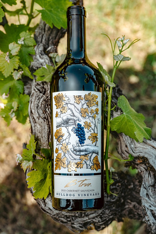 B.True- 2020 Bull Dog Vineyard Cab